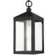 A thumbnail of the Livex Lighting 20591 Black with Brushed Nickel Cluster
