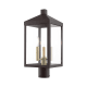 A thumbnail of the Livex Lighting 20592 Bronze with Antique Brass Cluster