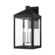 A thumbnail of the Livex Lighting 20598 Black with Brushed Nickel Cluster