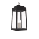 A thumbnail of the Livex Lighting 20863 Black