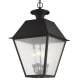 A thumbnail of the Livex Lighting 2174 Black