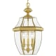 A thumbnail of the Livex Lighting 2355 Polished Brass