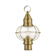 A thumbnail of the Livex Lighting 26905 Antique Brass