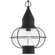 A thumbnail of the Livex Lighting 26906 Black