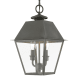 A thumbnail of the Livex Lighting 27217 Charcoal