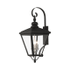 A thumbnail of the Livex Lighting 27374 Black / Brushed Nickel