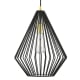 A thumbnail of the Livex Lighting 41325 Shiny Black / Polished Brass Accents