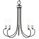 A thumbnail of the Livex Lighting 42925 Black with Brushed Nickel Accents
