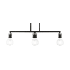 A thumbnail of the Livex Lighting 47163 Black / Brushed Nickel Accents