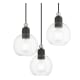 A thumbnail of the Livex Lighting 48973 Black / Brushed Nickel Accents