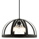 A thumbnail of the Livex Lighting 49645 Textured Black
