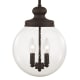 A thumbnail of the Livex Lighting 50914 Bronze