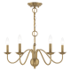 A thumbnail of the Livex Lighting 52165 Alternate Angle (Antique Brass)