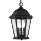 A thumbnail of the Livex Lighting 75469 Textured Black