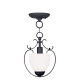 A thumbnail of the Livex Lighting 4760 Black