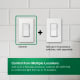 A thumbnail of the Lutron STCL-153M Alternate Image