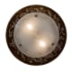A thumbnail of the Meyda Tiffany 170820 Alternate Image