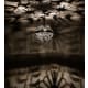 A thumbnail of the Meyda Tiffany 176143 Pewter