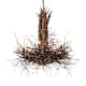 A thumbnail of the Meyda Tiffany 226214 Bronze / Natural Wood