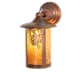 A thumbnail of the Meyda Tiffany 54247 Vintage Copper
