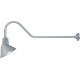 A thumbnail of the Millennium Lighting RAS10-RGN41 Galvanized