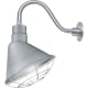A thumbnail of the Millennium Lighting RAS12-RGN15 Galvanized