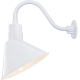 A thumbnail of the Millennium Lighting RAS12-RGN15 White