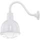 A thumbnail of the Millennium Lighting RDBS10-RGN15 White