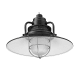 A thumbnail of the Millennium Lighting RRRS14 Alternative Image