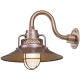 A thumbnail of the Millennium Lighting RRRS14-RGN10 Copper