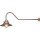 A thumbnail of the Millennium Lighting RRRS14-RGN41 Copper