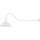 A thumbnail of the Millennium Lighting RWHS14-RGN41 White