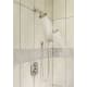 Moen 3865BN Brushed Nickel Single Function Hand Shower Package with ...