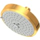A thumbnail of the Newport Brass 2143 Aged Brass