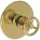A thumbnail of the Newport Brass 3-2924TR Polished Gold (PVD)