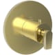 A thumbnail of the Newport Brass 3-2974TR Uncoated Polished Brass - Living