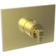 A thumbnail of the Newport Brass 3-3144TS Polished Brass Uncoated (Living)