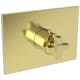 A thumbnail of the Newport Brass 3-3154TS Polished Brass Uncoated (Living)