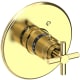 A thumbnail of the Newport Brass 3-994TR Polished Brass Uncoated (Living)