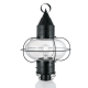 A thumbnail of the Norwell Lighting 1510 Black with Seedy Glass