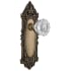 A thumbnail of the Nostalgic Warehouse VICCRY_PSG_238_NK Antique Brass