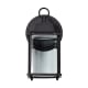 A thumbnail of the Nuvo Lighting 62/1571 Black