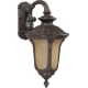 A thumbnail of the Nuvo Lighting 60/3902 Fruitwood