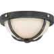 A thumbnail of the Nuvo Lighting 60/6126 Iron Black / Brushed Nickel Accents