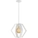 A thumbnail of the Nuvo Lighting 60/6396 White