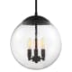 A thumbnail of the Nuvo Lighting 60/6741 Matte Black / Clear Seeded