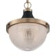 A thumbnail of the Nuvo Lighting 60/7060 Burnished Brass / Black Accents