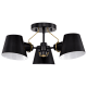 A thumbnail of the Nuvo Lighting 60/7384 Black / Burnished Brass