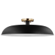 A thumbnail of the Nuvo Lighting 60/7496 Matte Black / Burnished Brass