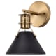 A thumbnail of the Nuvo Lighting 60/7519 Matte Black / Burnished Brass